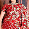Red Color Saree on Art Georgette