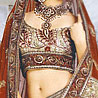 Beige and Chocolate Color Lehnga Choli Shimmer Georgette