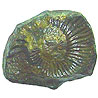 Shali Gram