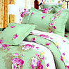 Egyptian Cotton Bedsheet Set With 2 Pillow Covers