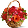 Basket of Love