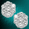 Lucera - Sterling Silver Earrings