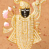 Gold Electro Plated Shrinathji