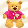 Brown Bear with Pink T-Shirt