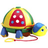 Roly Poly Turtle