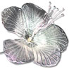 Silver Hibiscus Flower